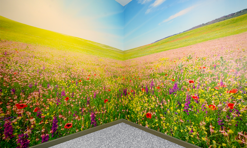 calming space for children with anxiety to relax in an open field image