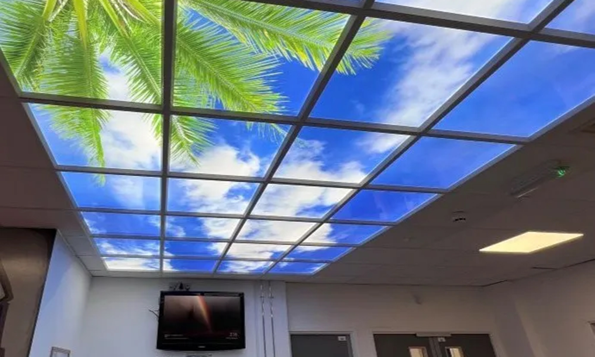 Palm tree LED Sky Panels Aspire